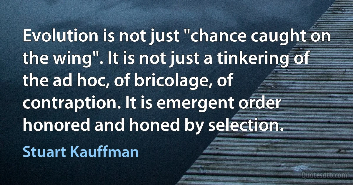 Evolution is not just "chance caught on the wing". It is not just a tinkering of the ad hoc, of bricolage, of contraption. It is emergent order honored and honed by selection. (Stuart Kauffman)