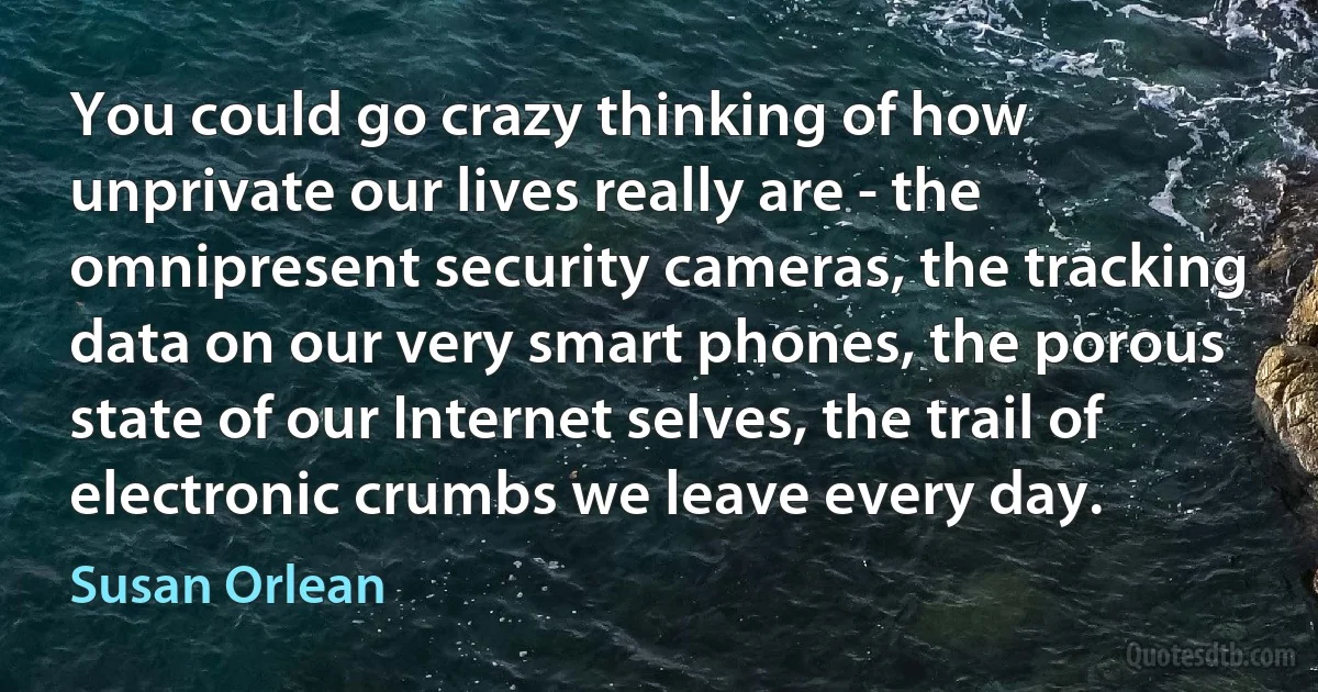 You could go crazy thinking of how unprivate our lives really are - the omnipresent security cameras, the tracking data on our very smart phones, the porous state of our Internet selves, the trail of electronic crumbs we leave every day. (Susan Orlean)