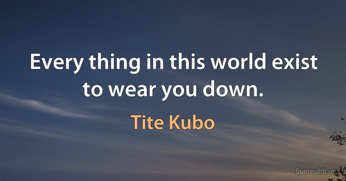 Every thing in this world exist to wear you down. (Tite Kubo)