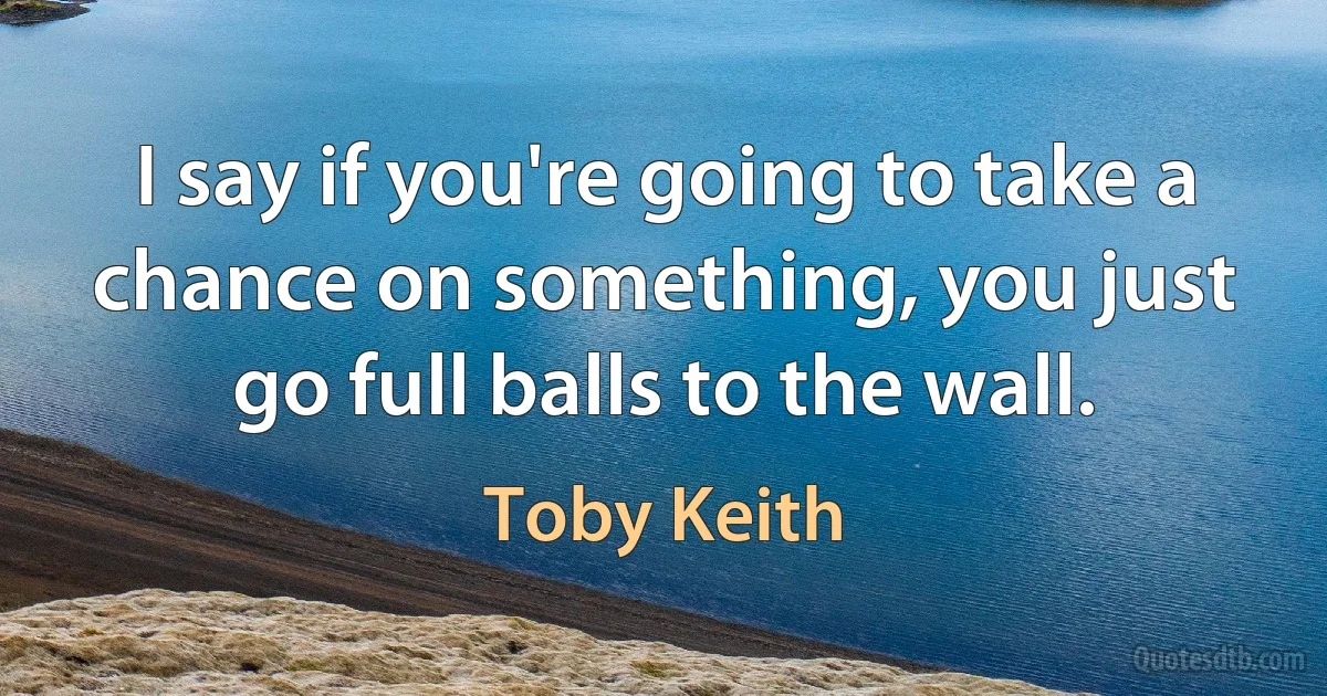 I say if you're going to take a chance on something, you just go full balls to the wall. (Toby Keith)