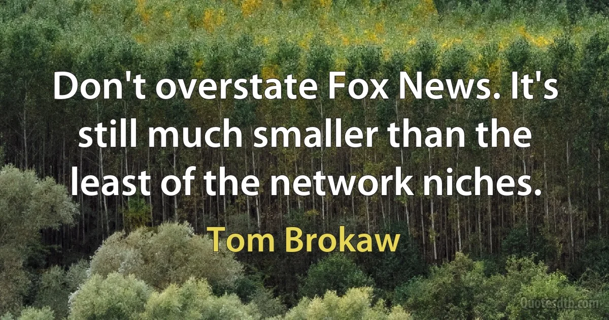 Don't overstate Fox News. It's still much smaller than the least of the network niches. (Tom Brokaw)