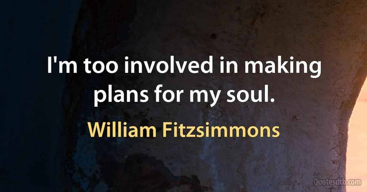 I'm too involved in making plans for my soul. (William Fitzsimmons)