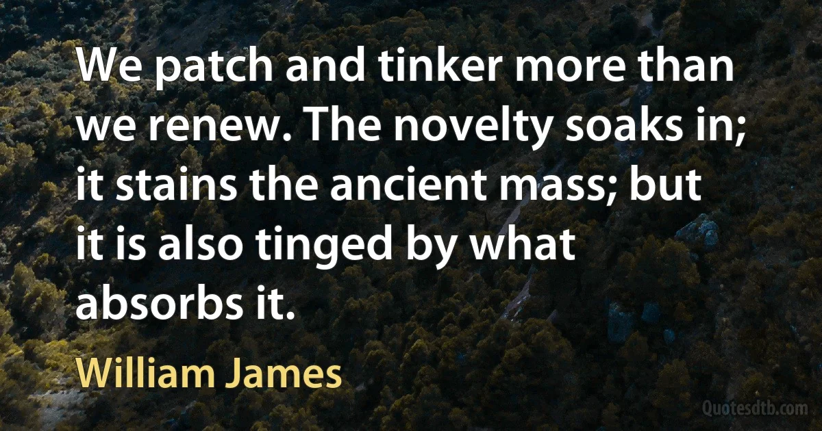 We patch and tinker more than we renew. The novelty soaks in; it stains the ancient mass; but it is also tinged by what absorbs it. (William James)