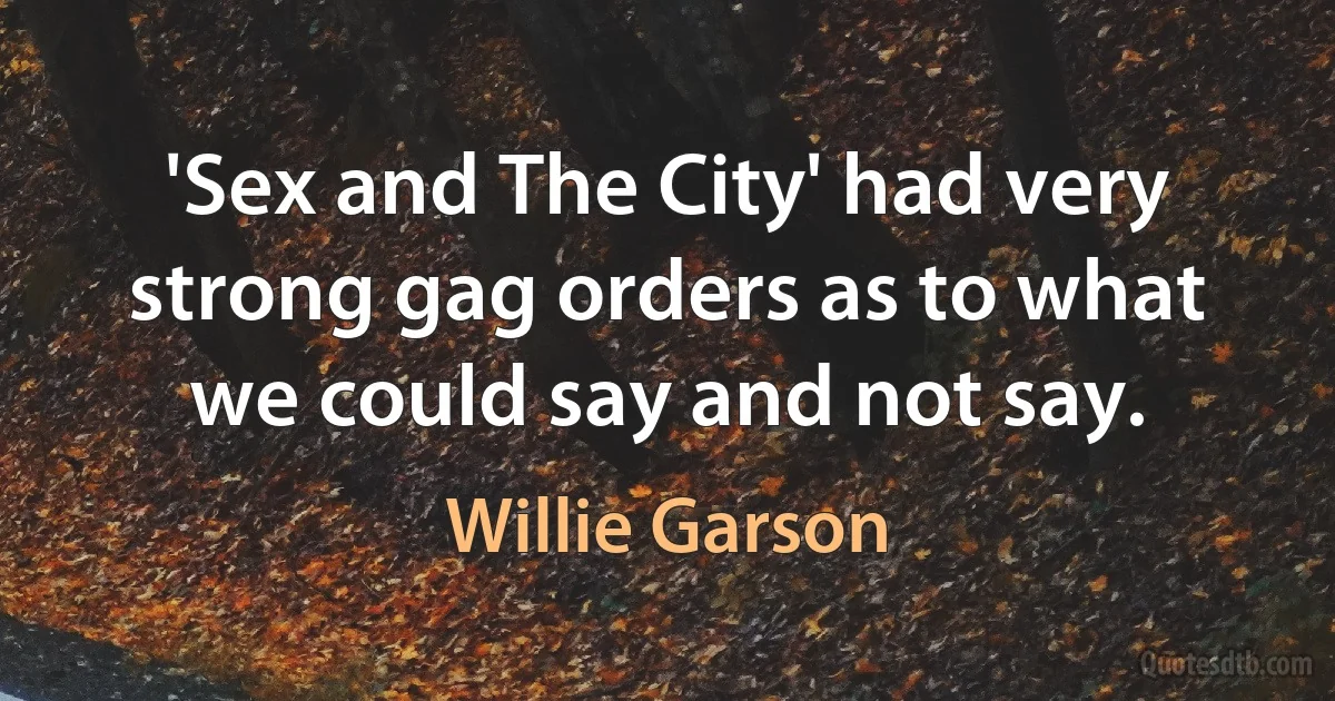 'Sex and The City' had very strong gag orders as to what we could say and not say. (Willie Garson)