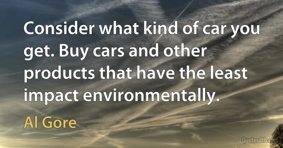 Consider what kind of car you get. Buy cars and other products that have the least impact environmentally. (Al Gore)