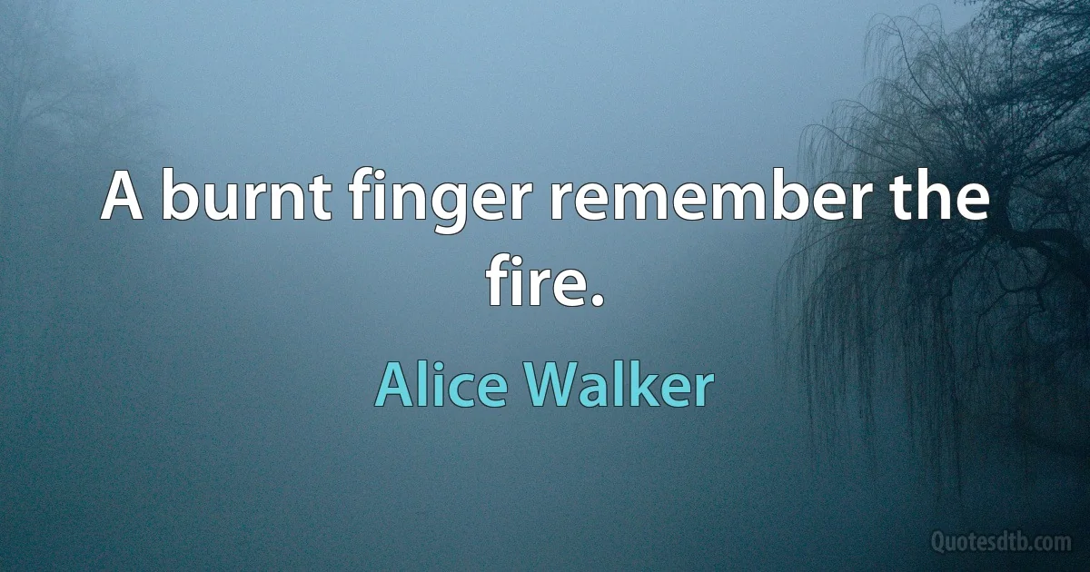 A burnt finger remember the fire. (Alice Walker)