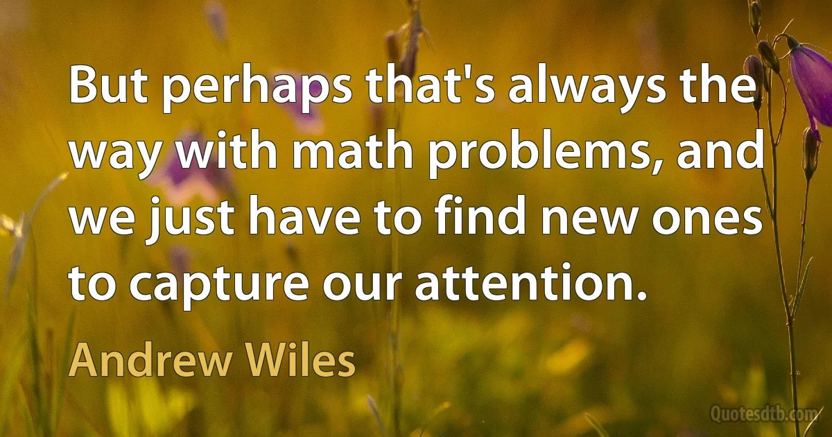 But perhaps that's always the way with math problems, and we just have to find new ones to capture our attention. (Andrew Wiles)