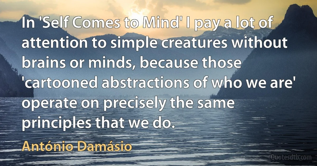 In 'Self Comes to Mind' I pay a lot of attention to simple creatures without brains or minds, because those 'cartooned abstractions of who we are' operate on precisely the same principles that we do. (António Damásio)