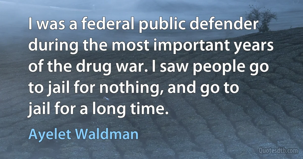 I was a federal public defender during the most important years of the drug war. I saw people go to jail for nothing, and go to jail for a long time. (Ayelet Waldman)