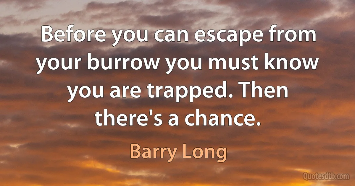 Before you can escape from your burrow you must know you are trapped. Then there's a chance. (Barry Long)