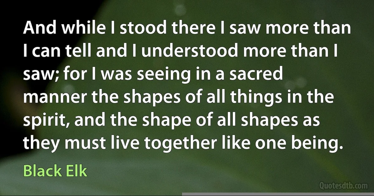 And while I stood there I saw more than I can tell and I understood more than I saw; for I was seeing in a sacred manner the shapes of all things in the spirit, and the shape of all shapes as they must live together like one being. (Black Elk)