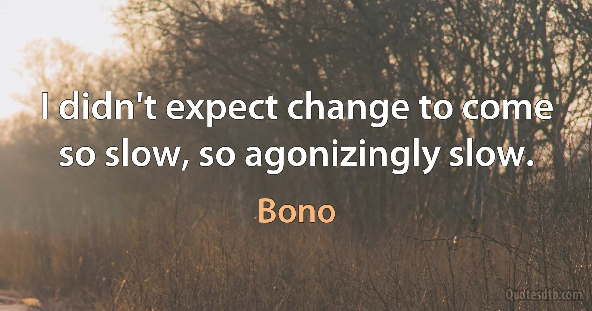 I didn't expect change to come so slow, so agonizingly slow. (Bono)