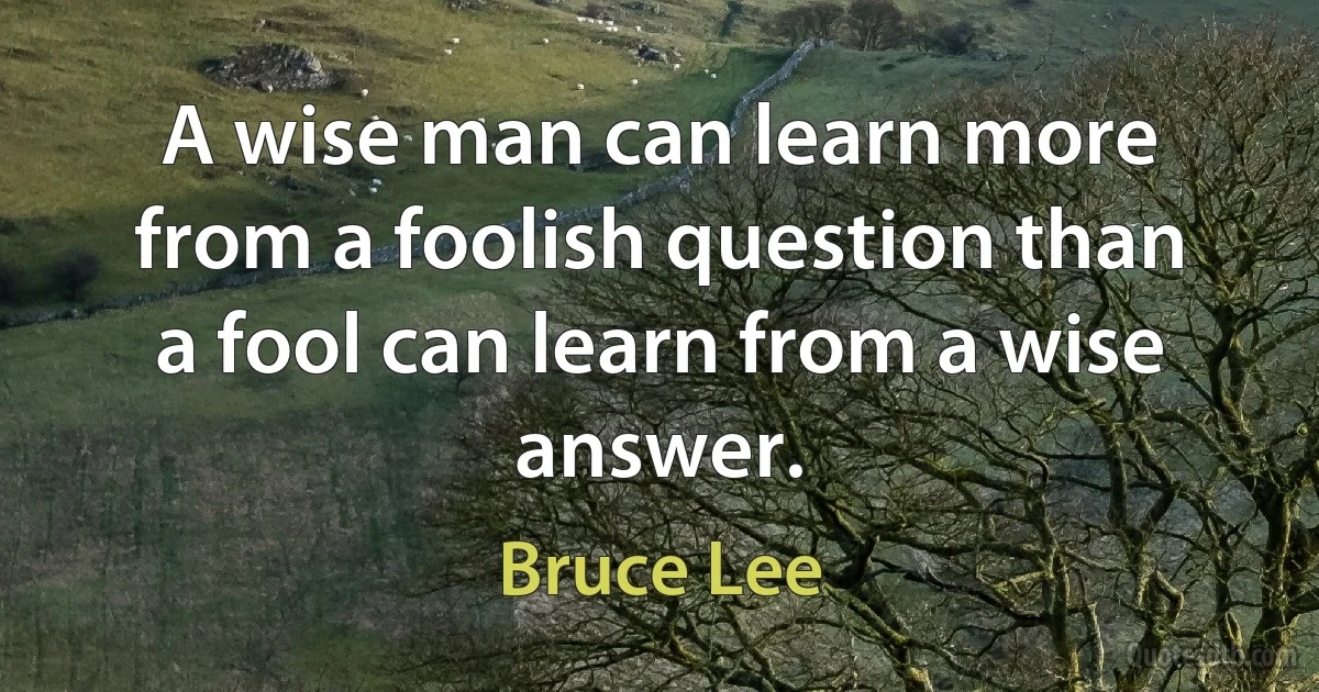 A wise man can learn more from a foolish question than a fool can learn from a wise answer. (Bruce Lee)