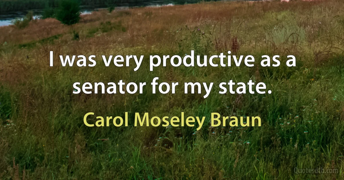 I was very productive as a senator for my state. (Carol Moseley Braun)