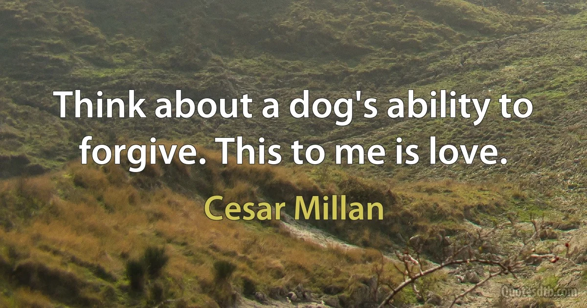 Think about a dog's ability to forgive. This to me is love. (Cesar Millan)