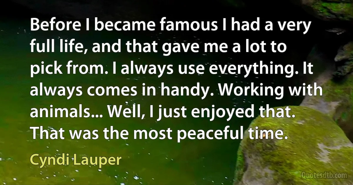 Before I became famous I had a very full life, and that gave me a lot to pick from. I always use everything. It always comes in handy. Working with animals... Well, I just enjoyed that. That was the most peaceful time. (Cyndi Lauper)