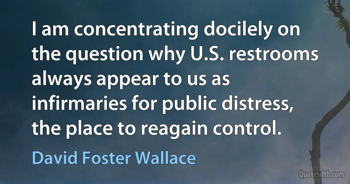 I am concentrating docilely on the question why U.S. restrooms always appear to us as infirmaries for public distress, the place to reagain control. (David Foster Wallace)