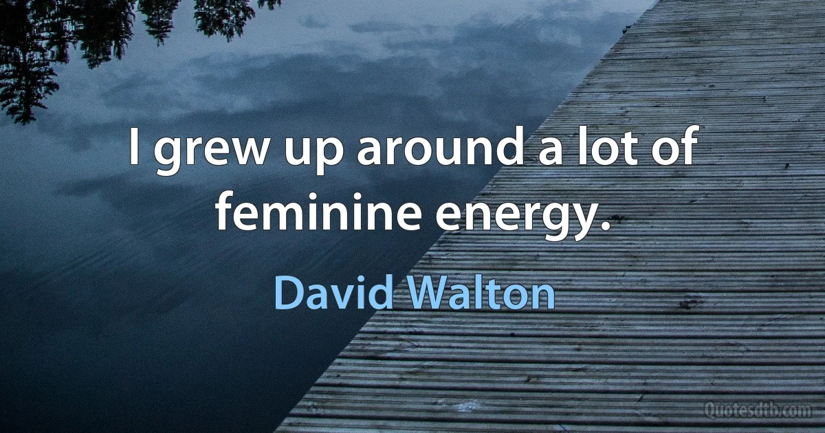 I grew up around a lot of feminine energy. (David Walton)