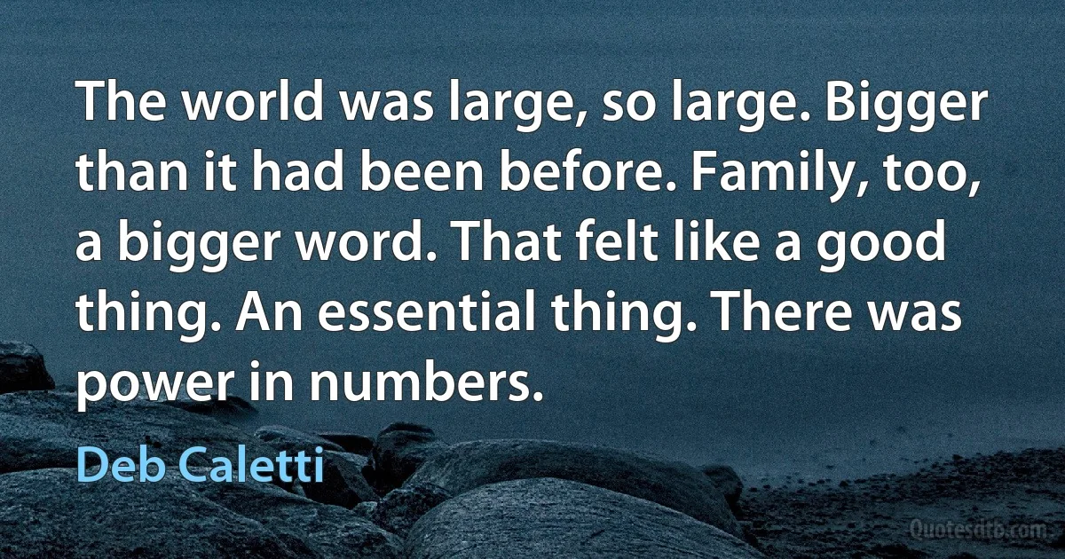 The world was large, so large. Bigger than it had been before. Family, too, a bigger word. That felt like a good thing. An essential thing. There was power in numbers. (Deb Caletti)