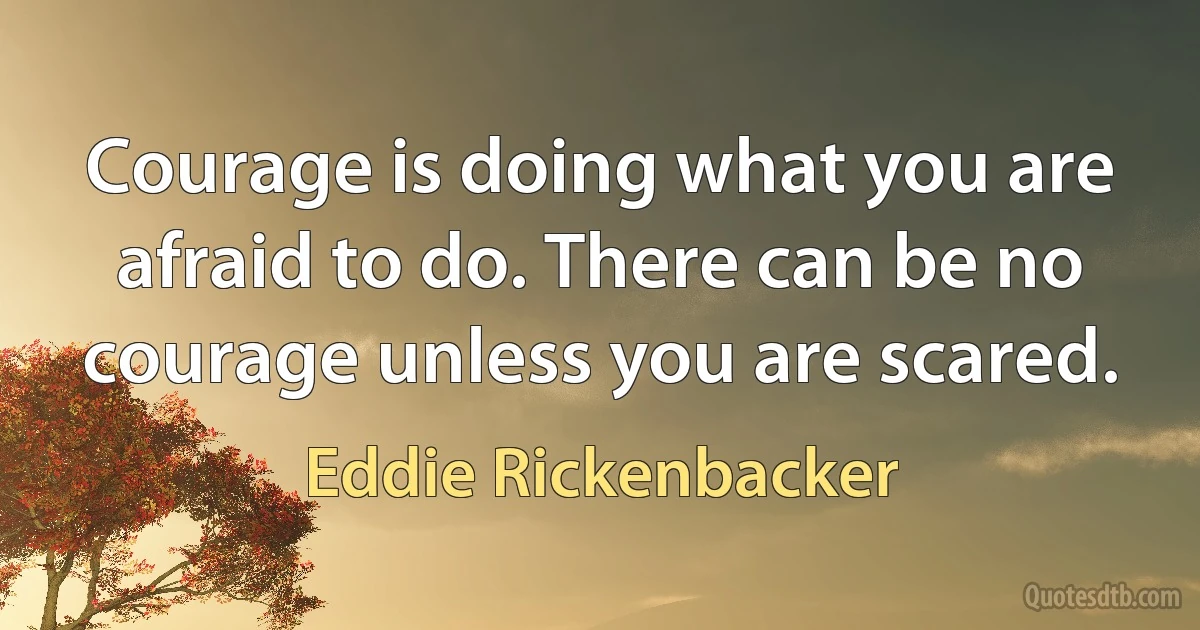 Courage is doing what you are afraid to do. There can be no courage unless you are scared. (Eddie Rickenbacker)