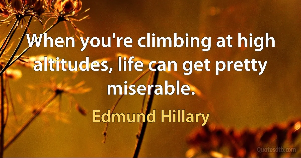 When you're climbing at high altitudes, life can get pretty miserable. (Edmund Hillary)