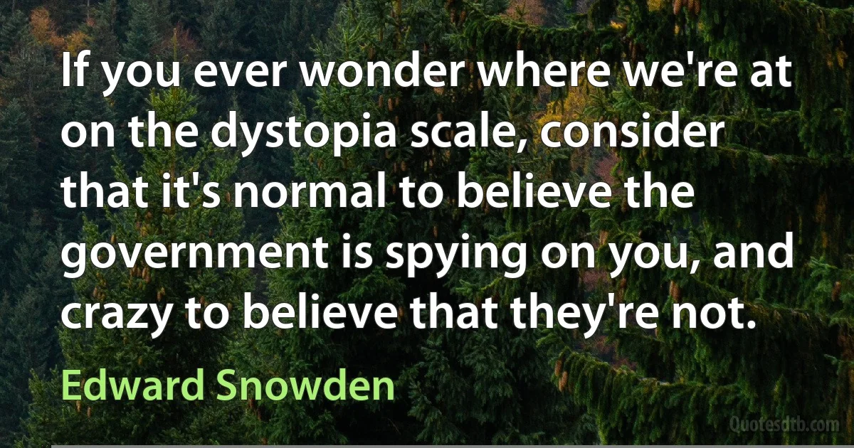 If you ever wonder where we're at on the dystopia scale, consider that it's normal to believe the government is spying on you, and crazy to believe that they're not. (Edward Snowden)