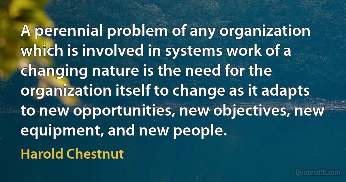 A perennial problem of any organization which is involved in systems work of a changing nature is the need for the organization itself to change as it adapts to new opportunities, new objectives, new equipment, and new people. (Harold Chestnut)