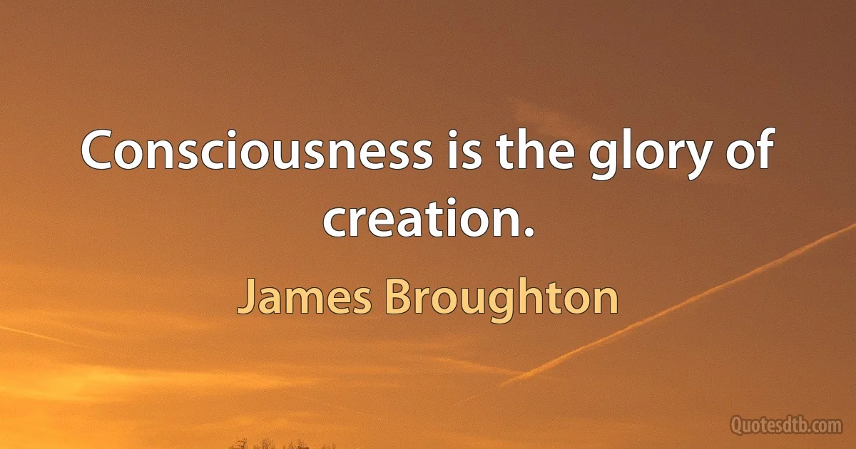 Consciousness is the glory of creation. (James Broughton)