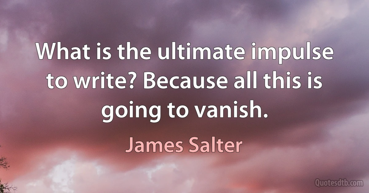 What is the ultimate impulse to write? Because all this is going to vanish. (James Salter)