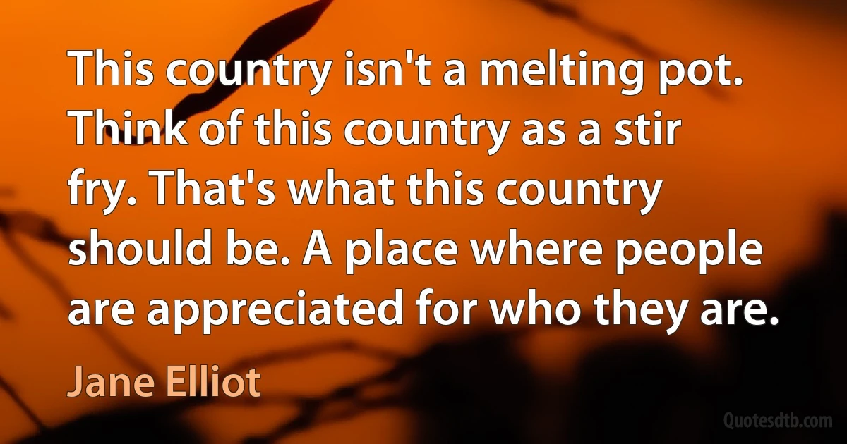 This country isn't a melting pot. Think of this country as a stir fry. That's what this country should be. A place where people are appreciated for who they are. (Jane Elliot)