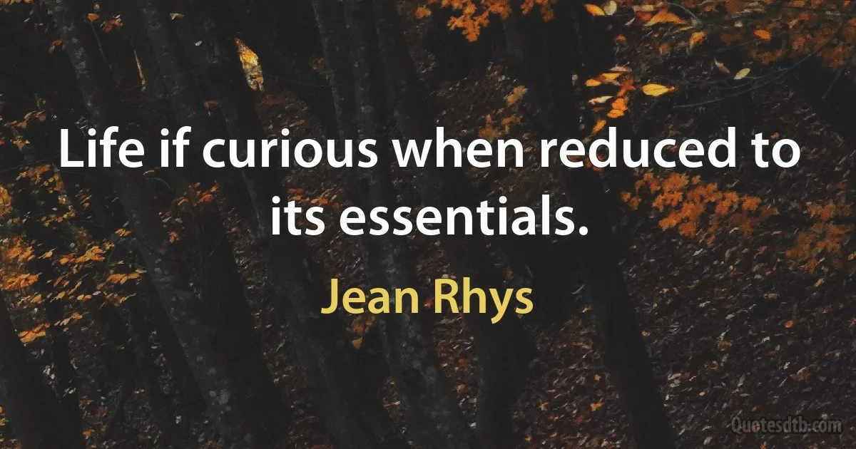 Life if curious when reduced to its essentials. (Jean Rhys)