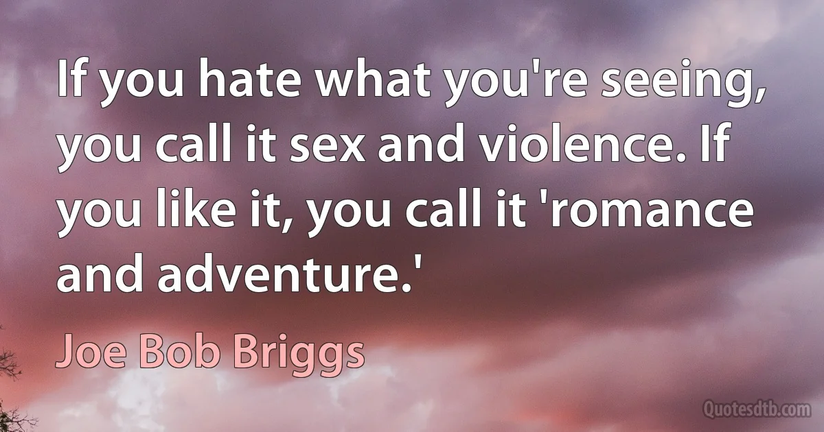 If you hate what you're seeing, you call it sex and violence. If you like it, you call it 'romance and adventure.' (Joe Bob Briggs)