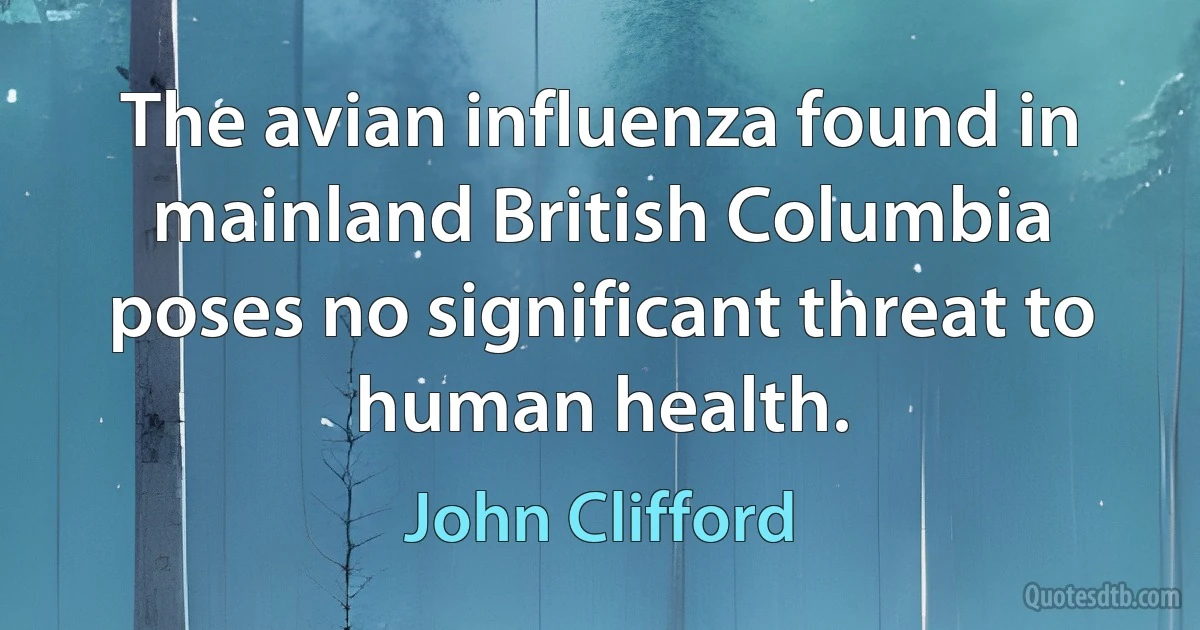 The avian influenza found in mainland British Columbia poses no significant threat to human health. (John Clifford)