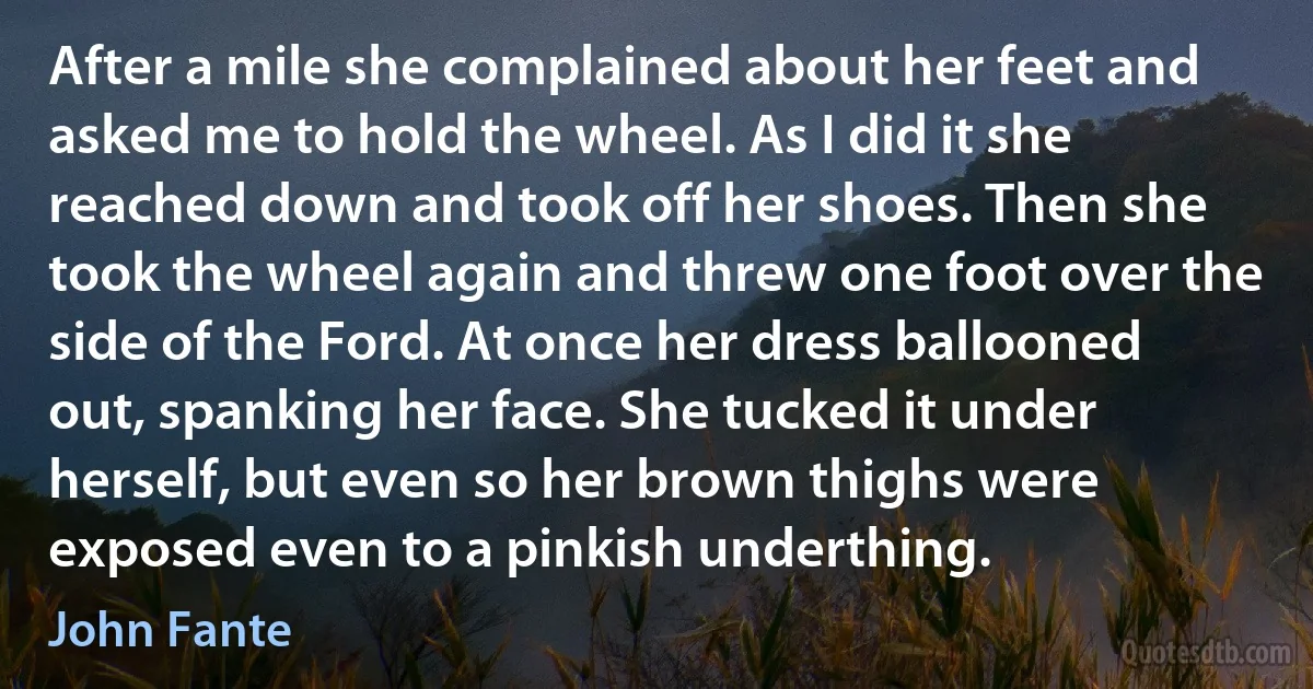 After a mile she complained about her feet and asked me to hold the wheel. As I did it she reached down and took off her shoes. Then she took the wheel again and threw one foot over the side of the Ford. At once her dress ballooned out, spanking her face. She tucked it under herself, but even so her brown thighs were exposed even to a pinkish underthing. (John Fante)