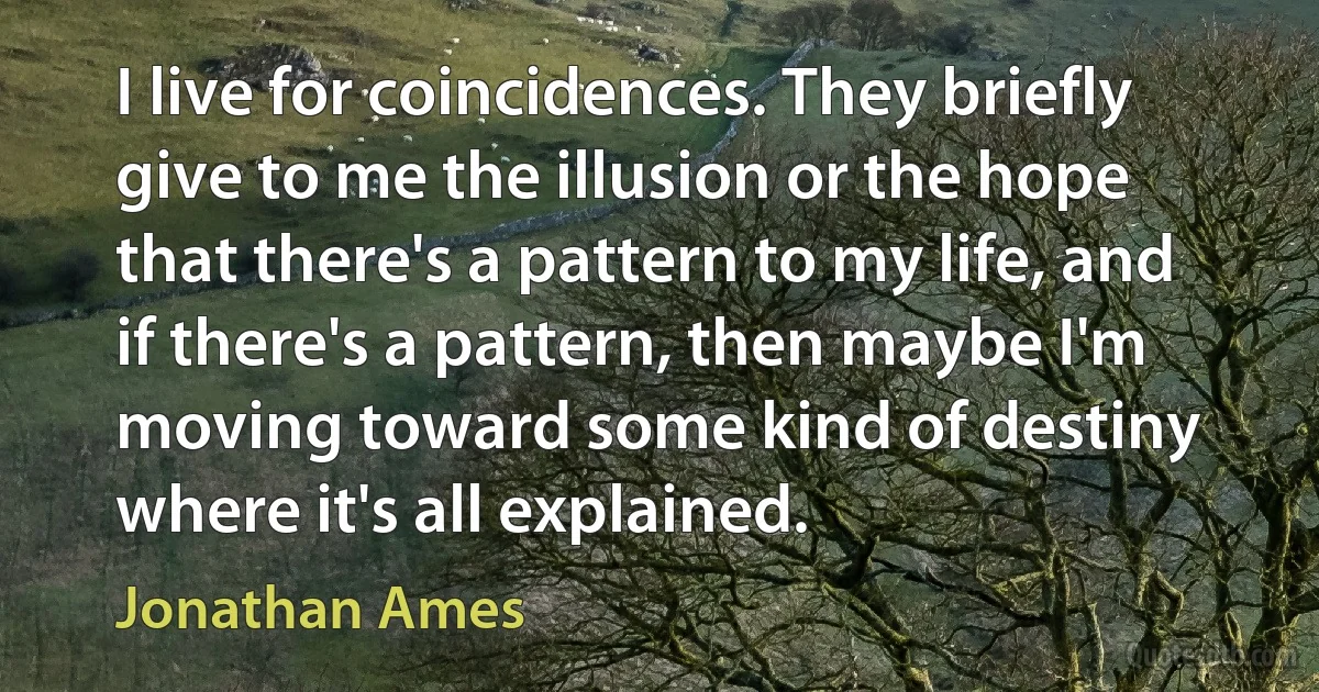 I live for coincidences. They briefly give to me the illusion or the hope that there's a pattern to my life, and if there's a pattern, then maybe I'm moving toward some kind of destiny where it's all explained. (Jonathan Ames)