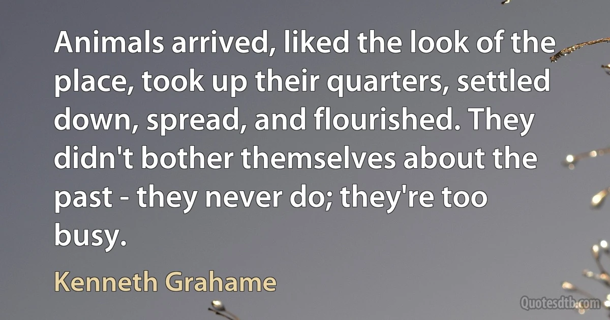 Animals arrived, liked the look of the place, took up their quarters, settled down, spread, and flourished. They didn't bother themselves about the past - they never do; they're too busy. (Kenneth Grahame)