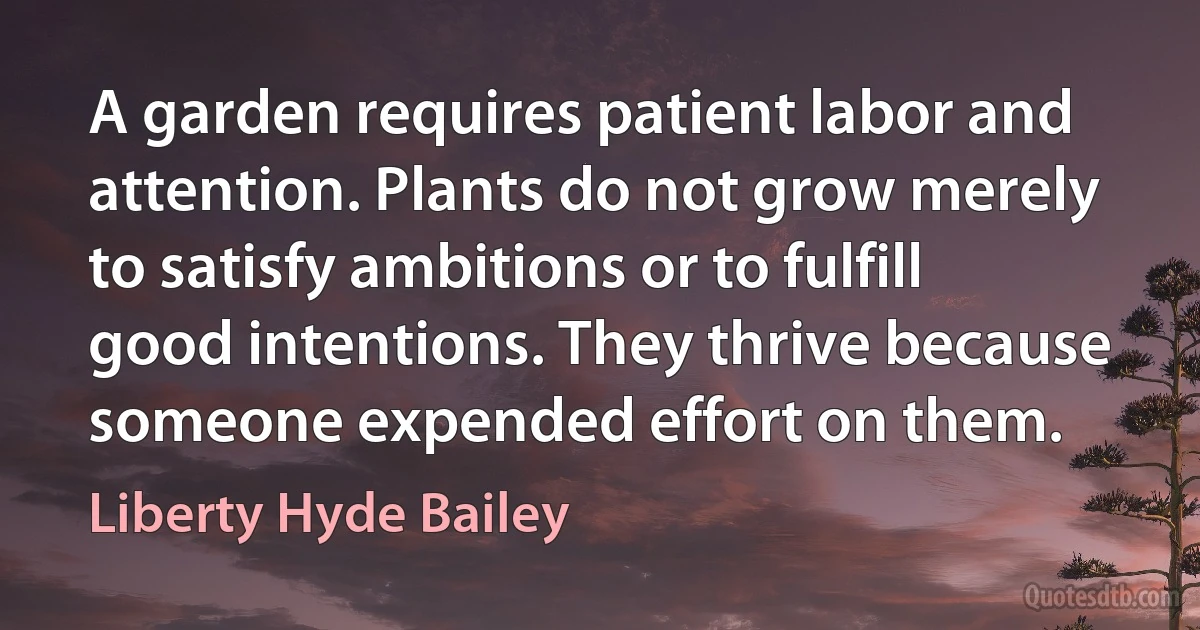 A garden requires patient labor and attention. Plants do not grow merely to satisfy ambitions or to fulfill good intentions. They thrive because someone expended effort on them. (Liberty Hyde Bailey)