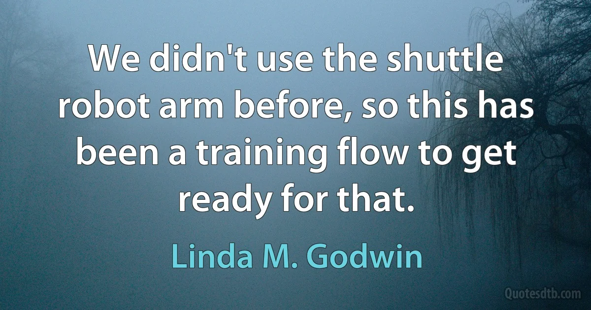 We didn't use the shuttle robot arm before, so this has been a training flow to get ready for that. (Linda M. Godwin)