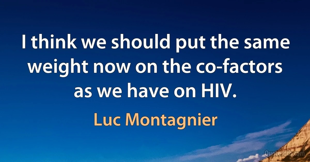 I think we should put the same weight now on the co-factors as we have on HIV. (Luc Montagnier)