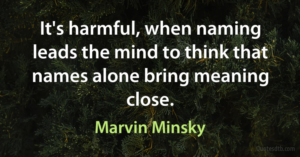 It's harmful, when naming leads the mind to think that names alone bring meaning close. (Marvin Minsky)