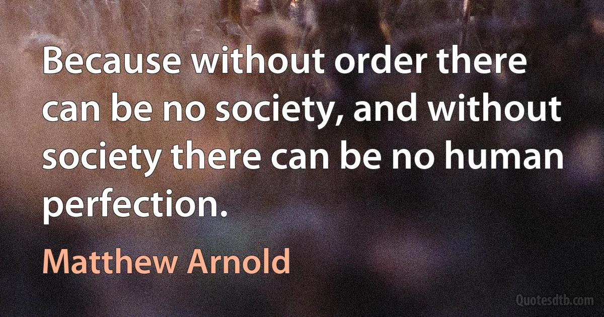 Because without order there can be no society, and without society there can be no human perfection. (Matthew Arnold)