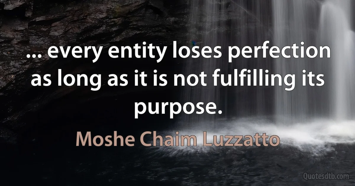 ... every entity loses perfection as long as it is not fulfilling its purpose. (Moshe Chaim Luzzatto)