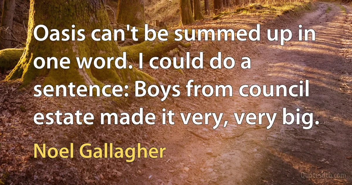 Oasis can't be summed up in one word. I could do a sentence: Boys from council estate made it very, very big. (Noel Gallagher)