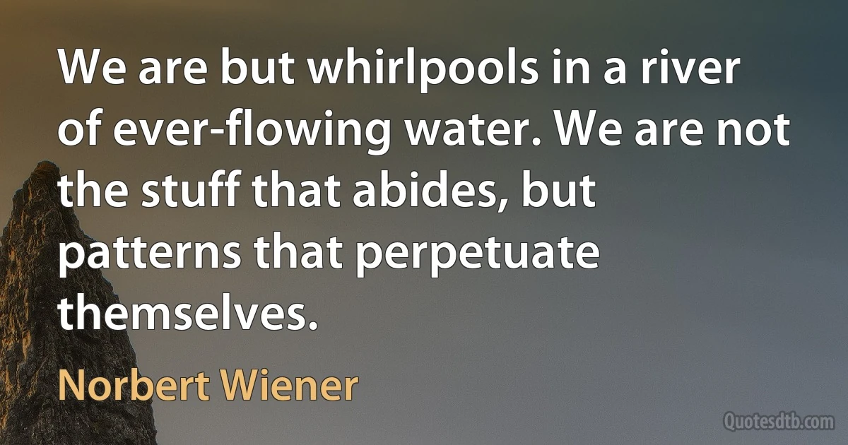 We are but whirlpools in a river of ever-flowing water. We are not the stuff that abides, but patterns that perpetuate themselves. (Norbert Wiener)