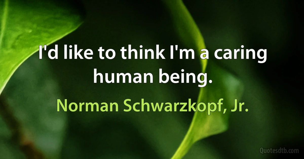 I'd like to think I'm a caring human being. (Norman Schwarzkopf, Jr.)