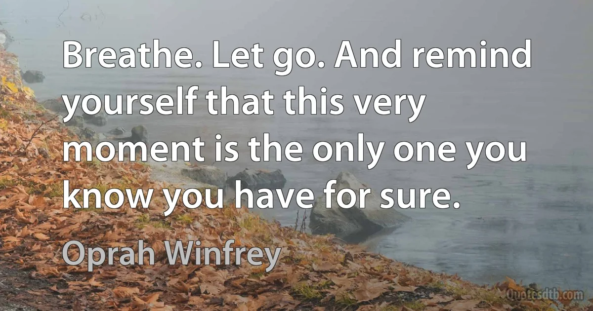 Breathe. Let go. And remind yourself that this very moment is the only one you know you have for sure. (Oprah Winfrey)