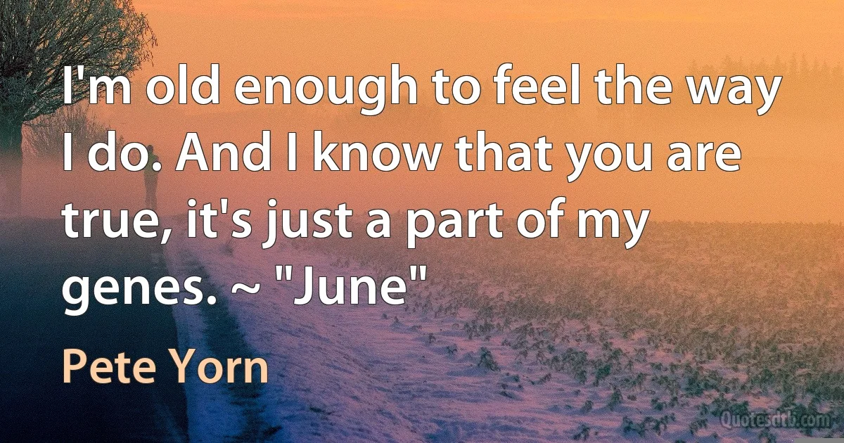 I'm old enough to feel the way I do. And I know that you are true, it's just a part of my genes. ~ "June" (Pete Yorn)