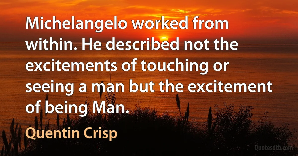 Michelangelo worked from within. He described not the excitements of touching or seeing a man but the excitement of being Man. (Quentin Crisp)