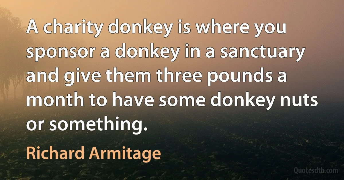 A charity donkey is where you sponsor a donkey in a sanctuary and give them three pounds a month to have some donkey nuts or something. (Richard Armitage)