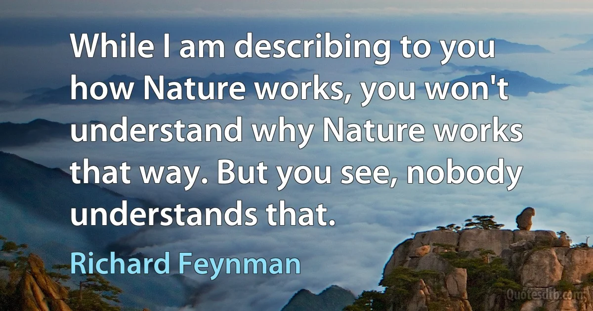 While I am describing to you how Nature works, you won't understand why Nature works that way. But you see, nobody understands that. (Richard Feynman)